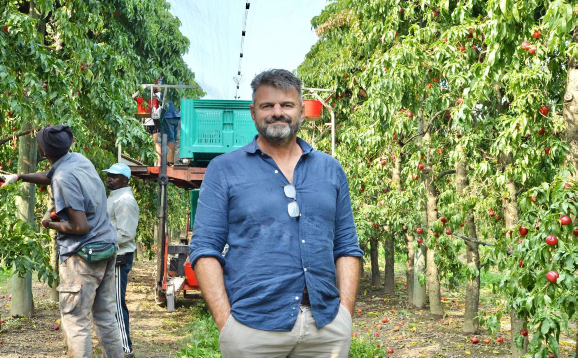 Ponso Frutta