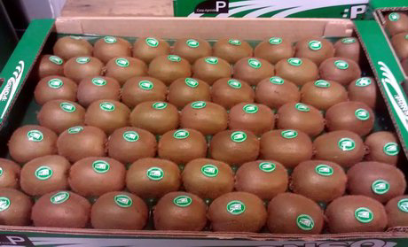 Ponso Frutta