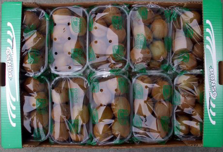 Ponso Frutta