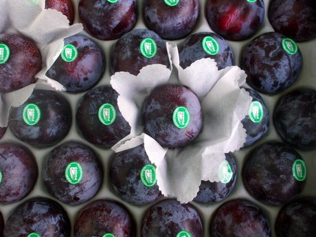 Ponso Frutta