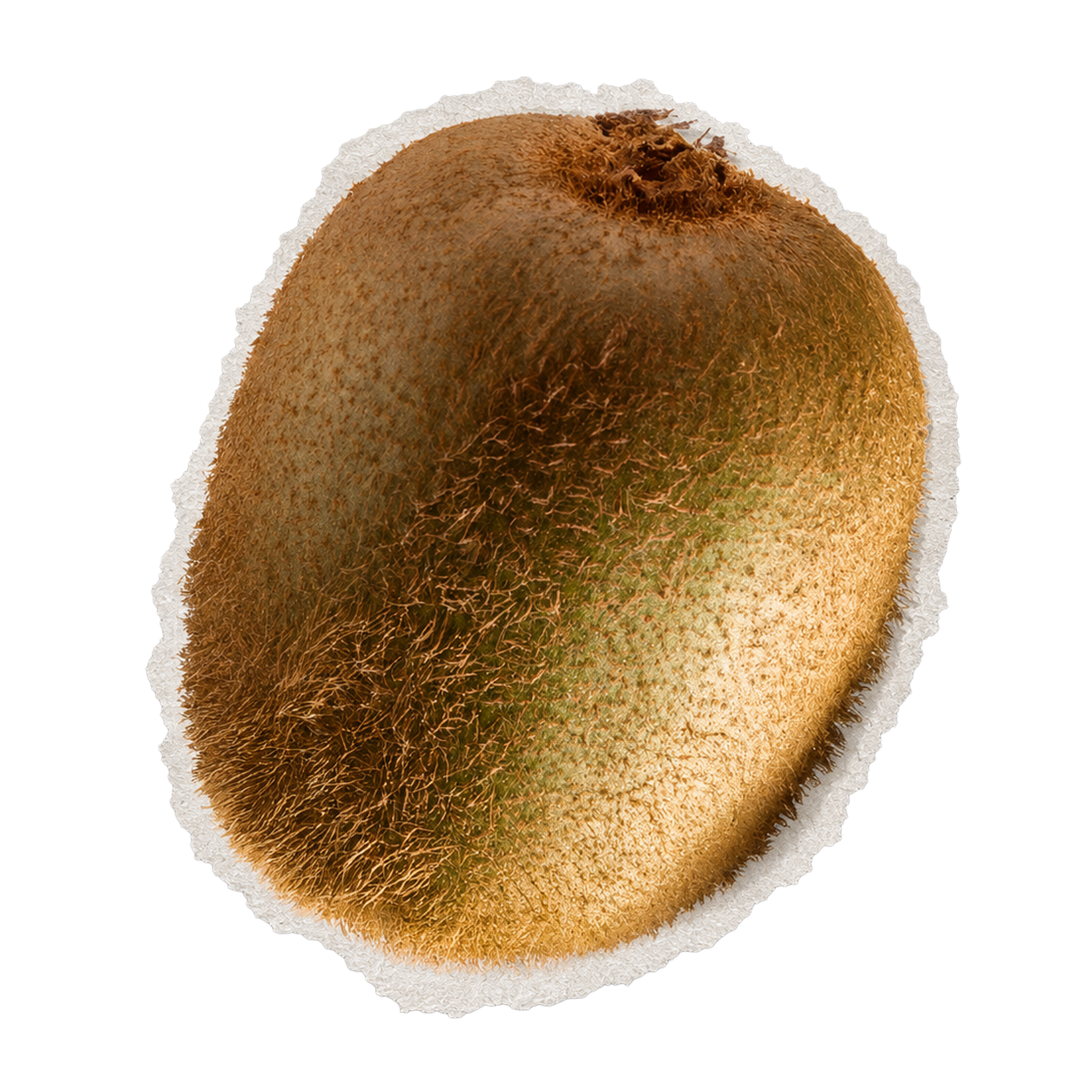 Kiwi Green Kiwifruits